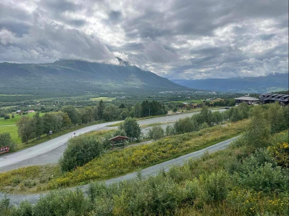 Privat Apartment With Beautiful View And Two Bedrooms Oppdal Exteriér fotografie
